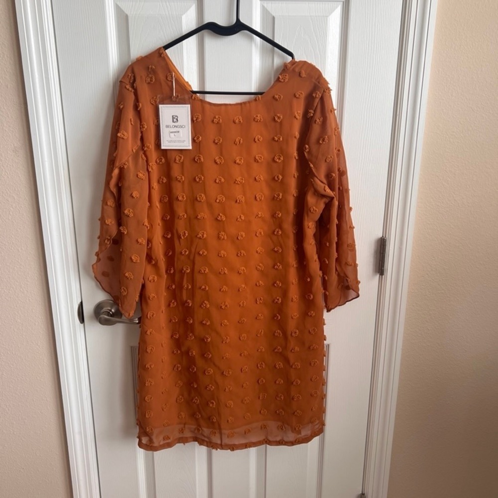 New Belongsci Women's Rust Pom Pom Sheer Long Sleeve Mini‎ Dress Large